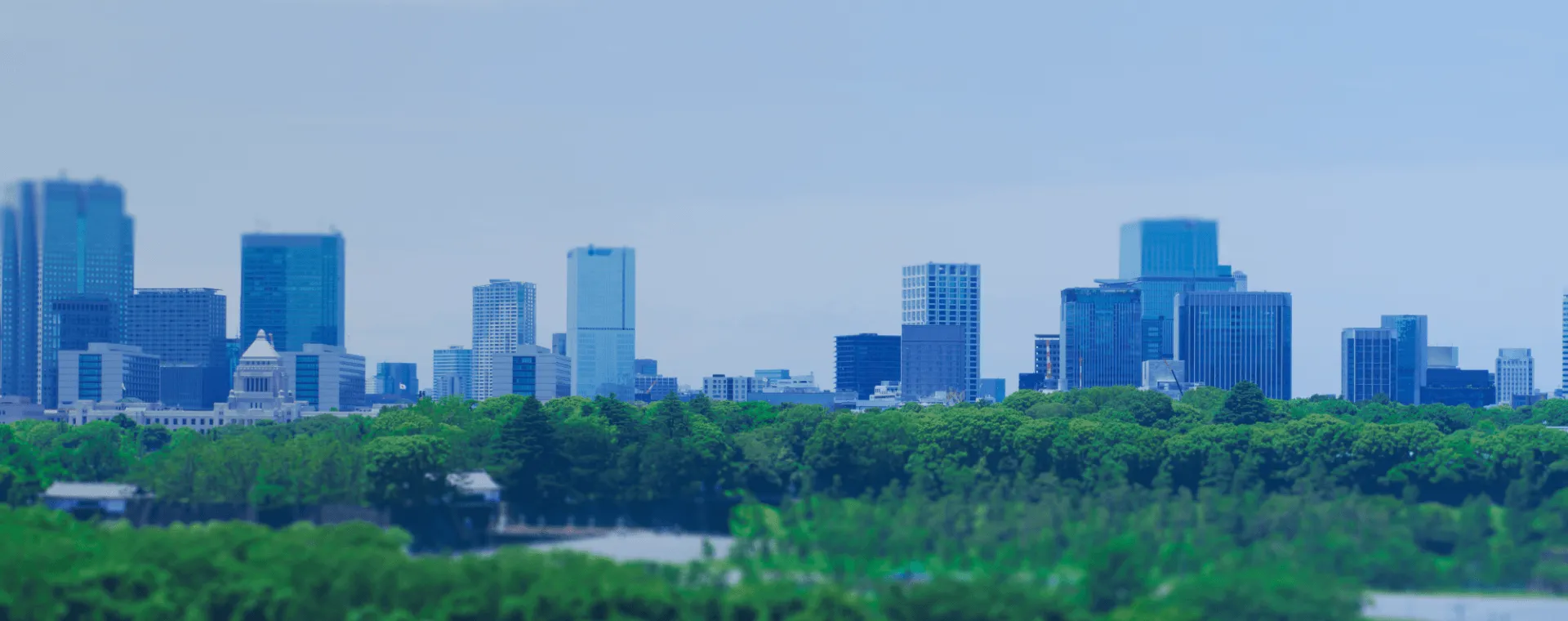 【３月】整形外科専門医外来（非常勤）のご案内