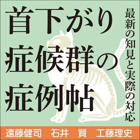 Web書籍のご案内